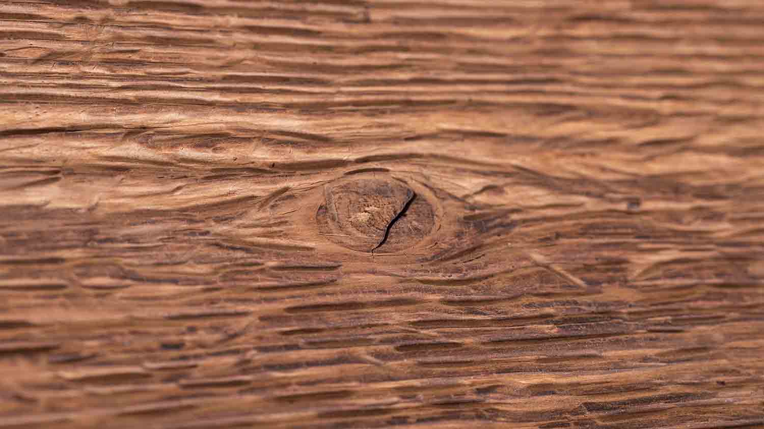 madera de deriva del bodensee